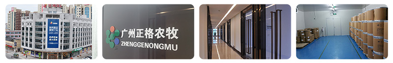 公司简介 公司简介