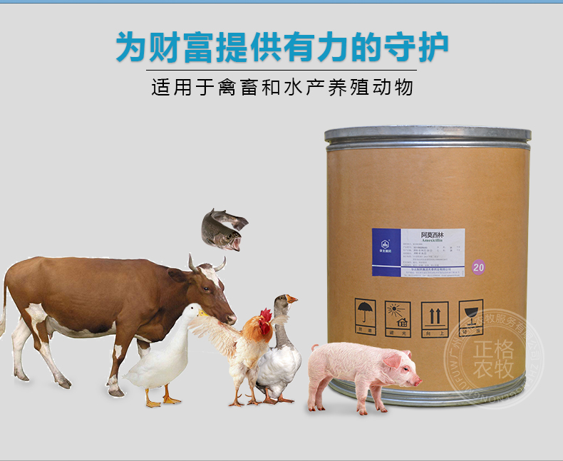 阿莫西林原粉适用对象 适用于禽畜和水产养殖动物