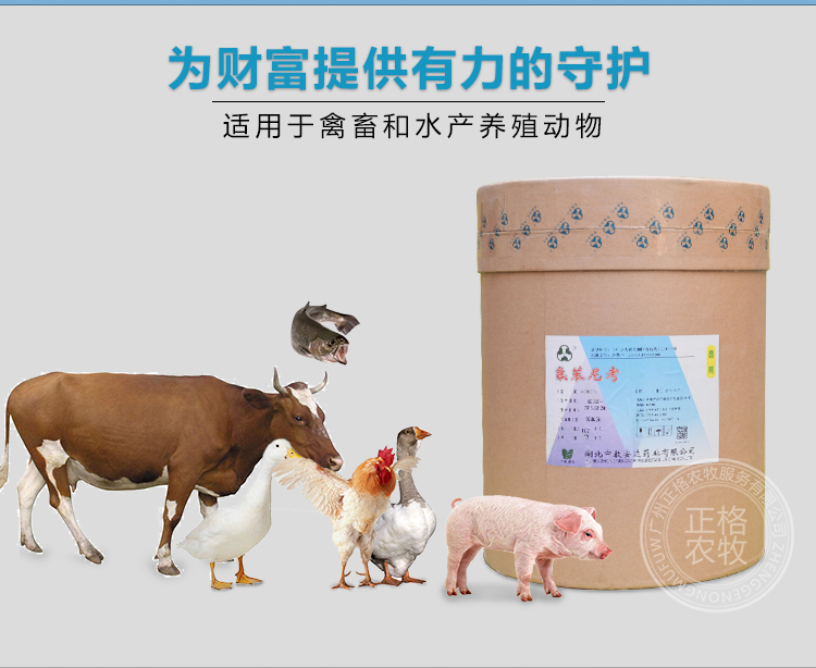 氟苯尼考 适用于禽畜和水产养殖动物