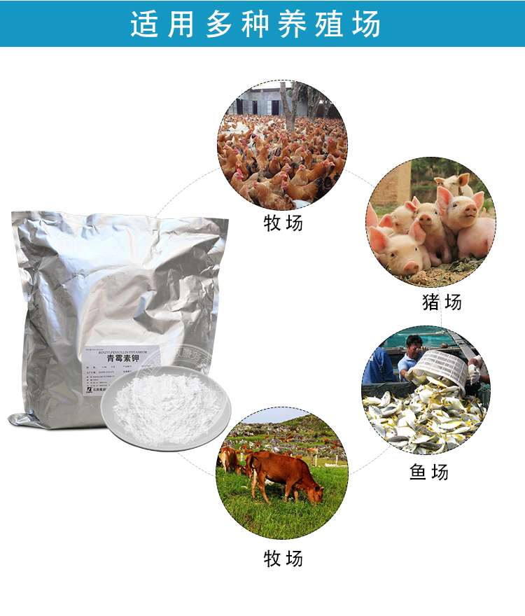 青霉素钾适用场所 适用场景