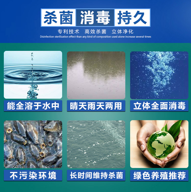 二氧化氯泡腾片 杀菌 消毒 持久