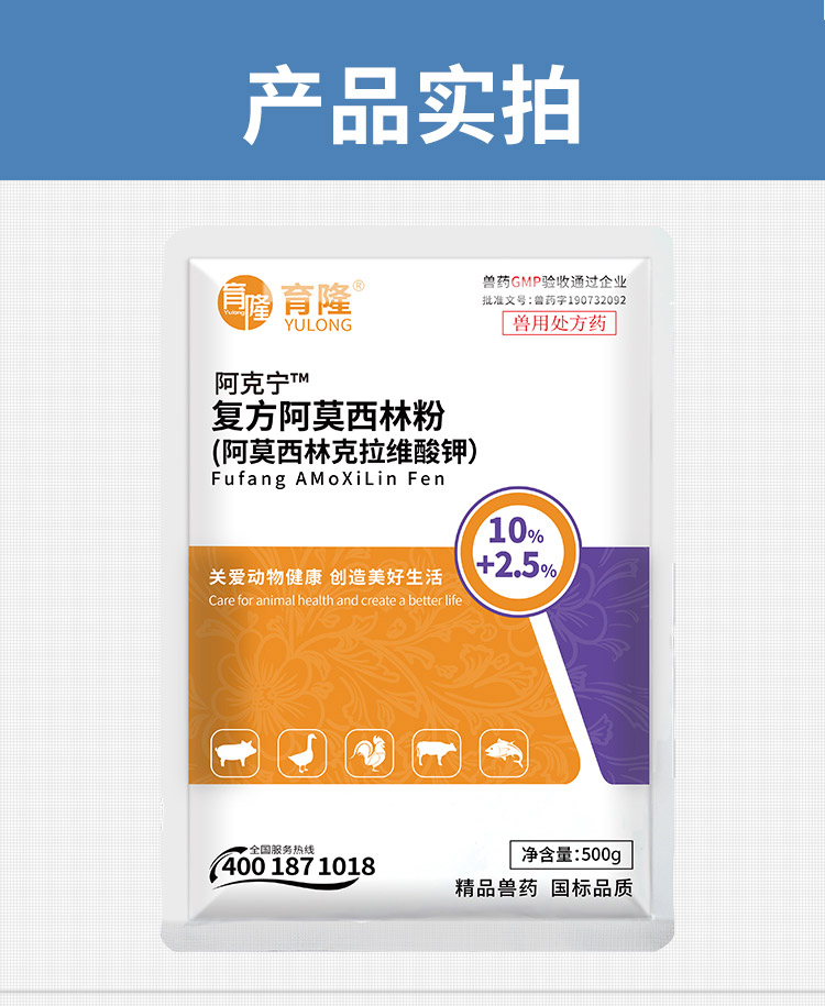 育隆12.5%复方阿莫西林克拉维酸钾可溶性粉 产品实拍