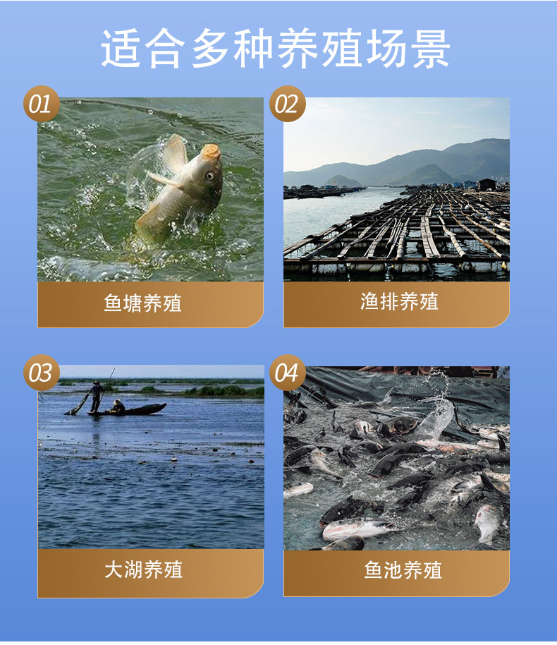 育隆龙胆泻肝散(水产用) 育隆龙胆泻肝散(水产用)