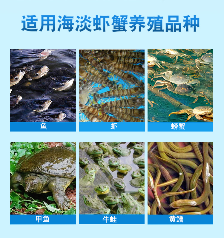 育隆开口一号 诱食增料宝 适用海淡虾蟹养殖品种