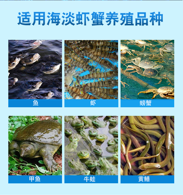 育隆虾蟹康 偷死白便消 适用海淡虾蟹养殖品种