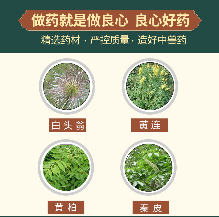 育隆白头翁散 主要成份