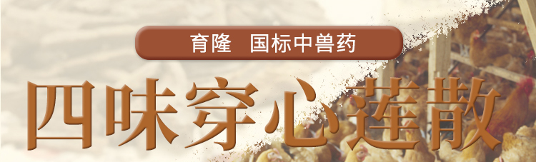 育隆四味穿心莲散 四味穿心莲散