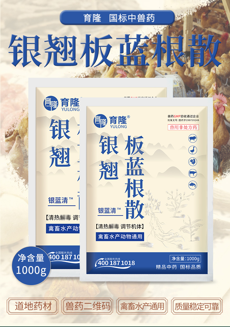 育隆银翘板蓝根散 银翘板蓝根散